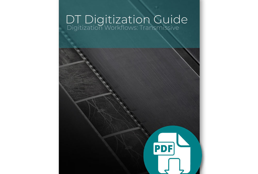 Digitization Workflows: Transmissive (PDF Download)